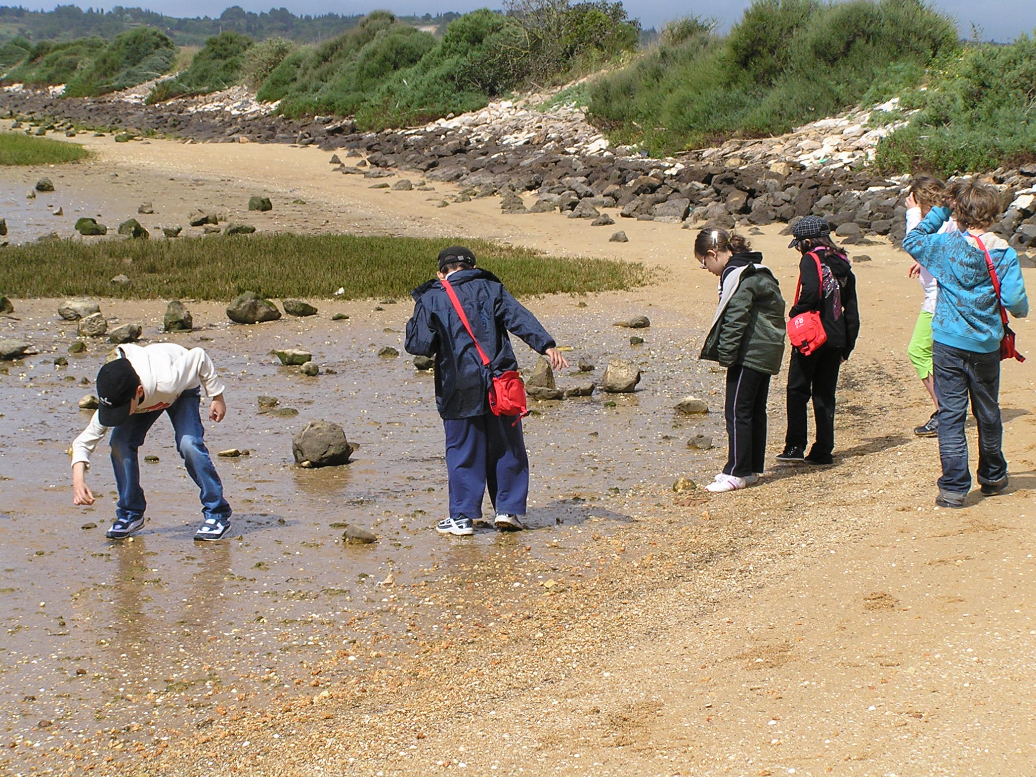 OLYMPUS DIGITAL CAMERA